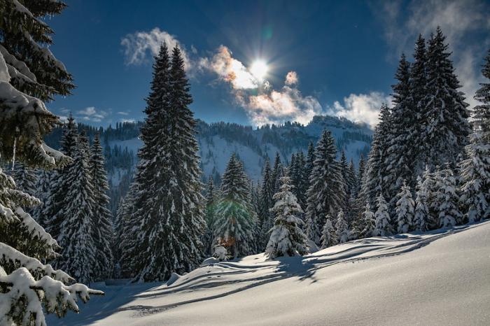 Winter im Allgäu